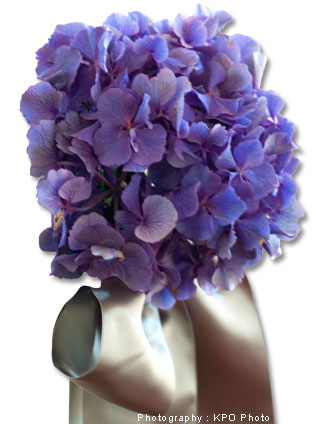 Puddle hydrangea with satin bow